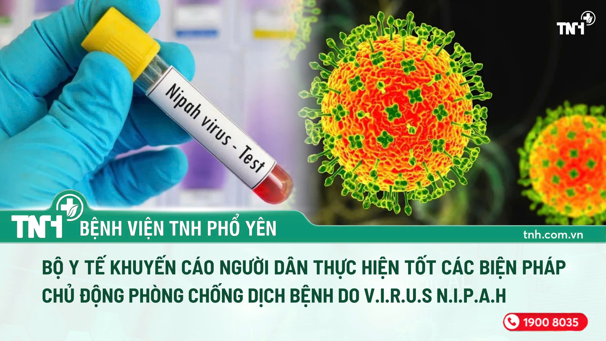 Bộ Y tế khuyến cáo chủ động phòng, chống bệnh do virus Nipah