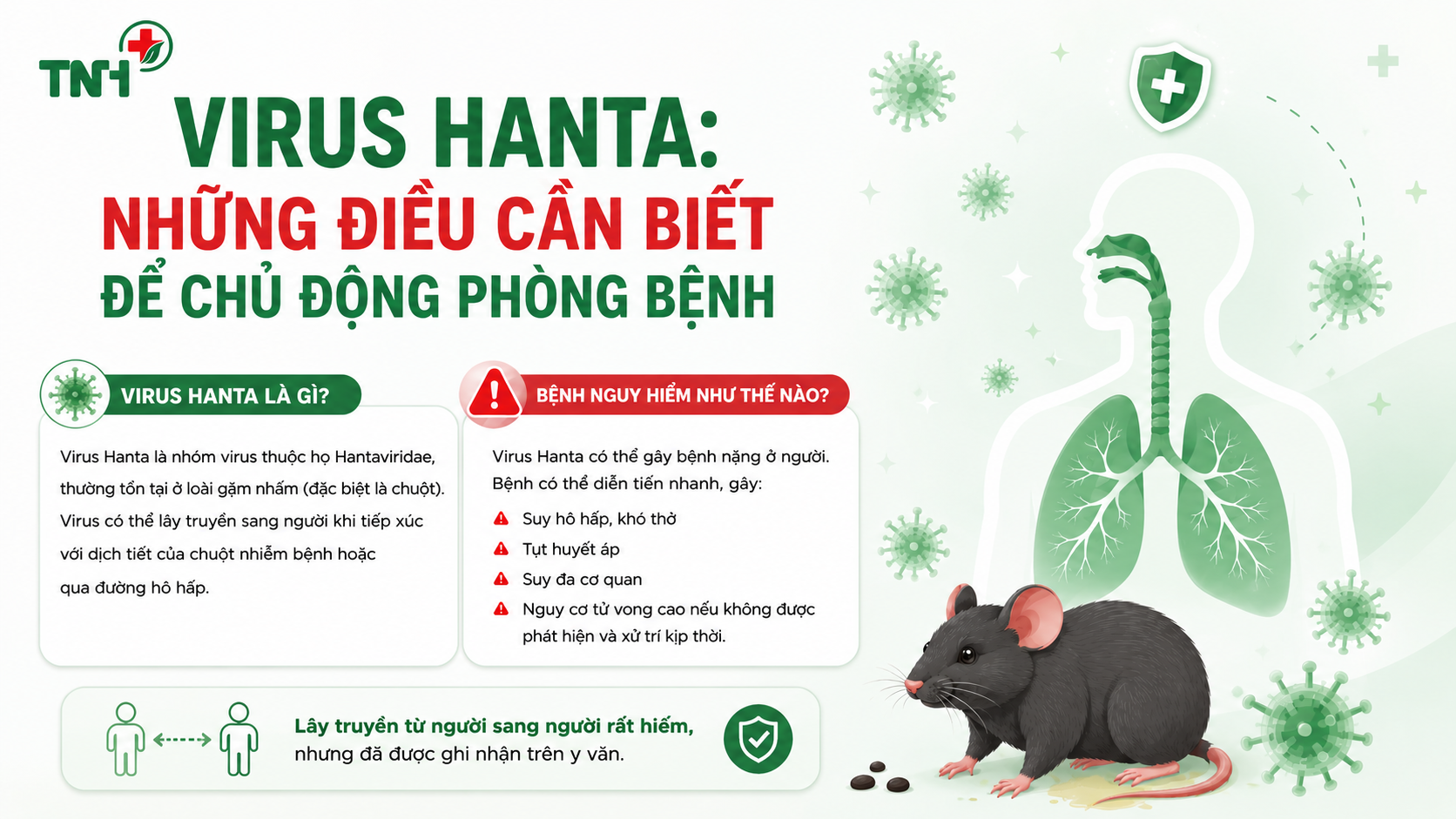 VIRUS HANTA: NHỮNG ĐIỀU CẦN BIẾT ĐỂ CHỦ ĐỘNG PHÒNG BỆNH
