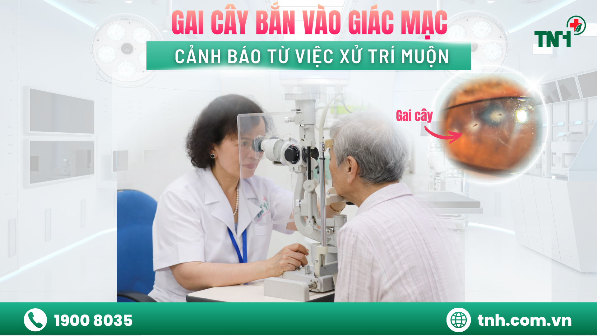 GAI CÂY BẮN VÀO GIÁC MẠC - CẢNH BÁO TỪ VIỆC XỬ TRÍ MUỘN